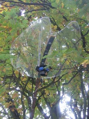 Klanginstallation im Körnerpark